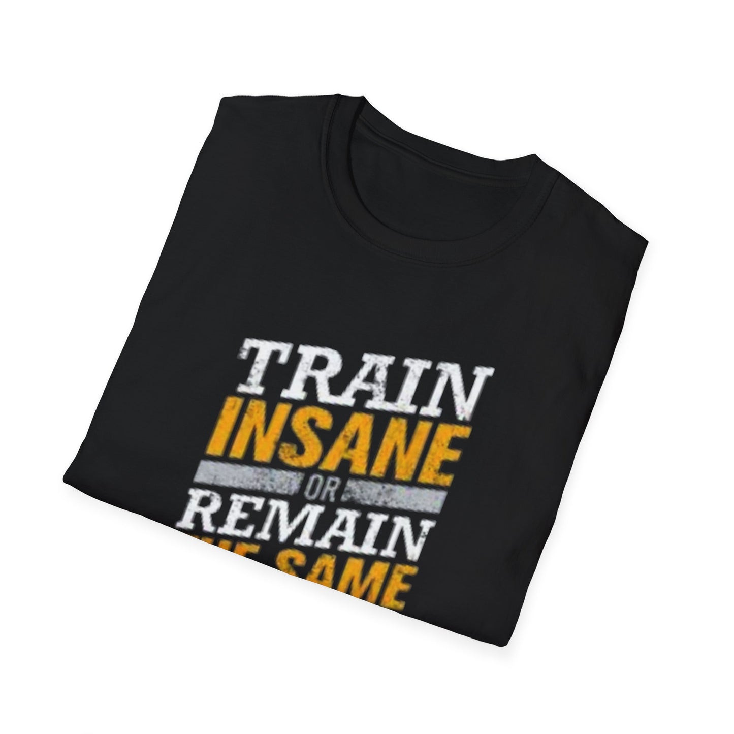 Train insane or remain the same Unisex Softstyle T-Shirt